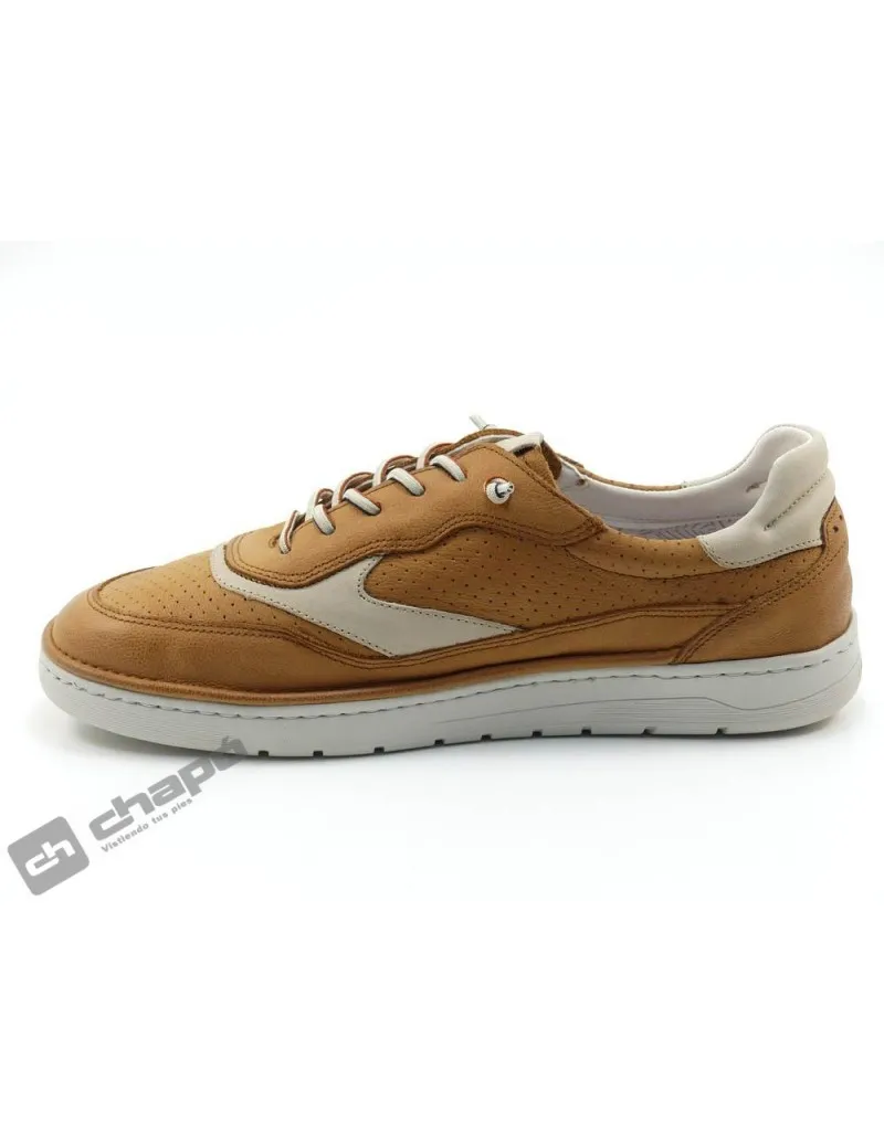 Zapatillas Deportiva Cuero Fluchos F1943 Leo